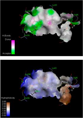 Design and synthesis of novel dihydropyridine- and benzylideneimine-based tyrosinase inhibitors